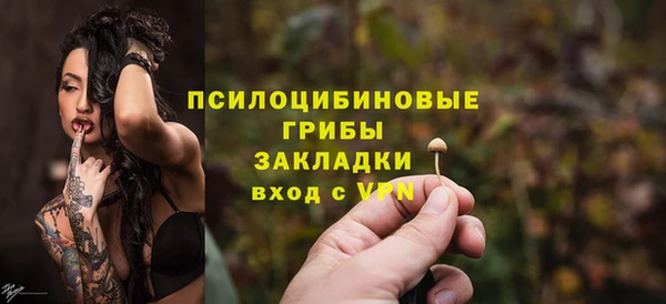 хмурый Богородицк
