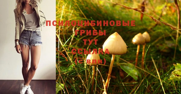 трава Белоозёрский