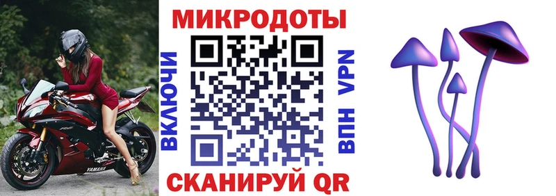 Псилоцибиновые грибы Cubensis  как найти закладки  Свободный 